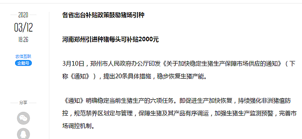 3.24河南郑州引起种猪每头可补贴2000元