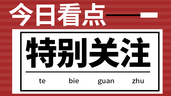 【行稳致远 迈向卓越】雅大顺利通过 ISO9001质量管理体系认证