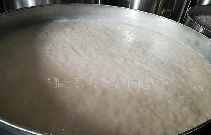 大米液态发酵