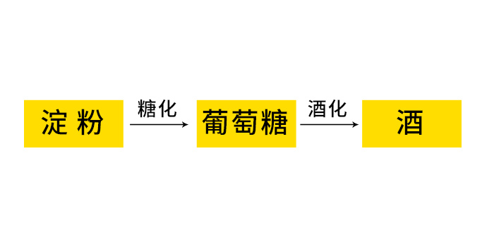 10.18-酿酒发酵基本原理