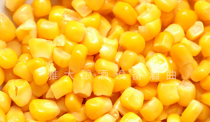 整粒固态玉米酒的酿制方法