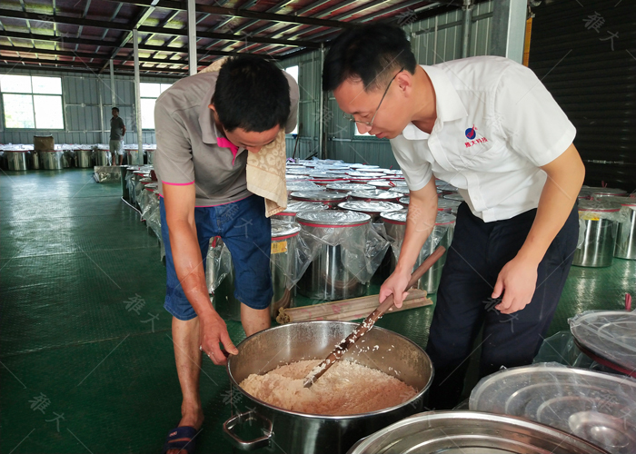 914蒋建明老师上门指导学员酿大米酒