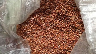 100斤高粱能酿多少酒？烤100斤酒利润有多大？