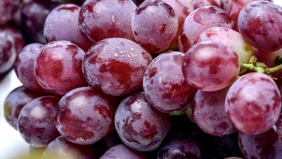 有几十年经验的大妈教您酿葡萄酒，只用水果酒曲就可以发酵！