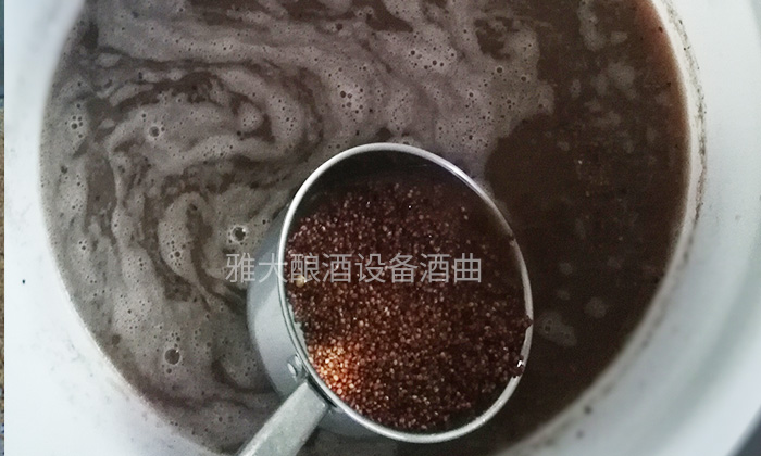 9.1无糠壳高粱固态酿酒技术—泡粮