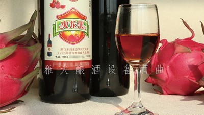 雅大酿酒设备厂家，果酒研发一年四季不打烊