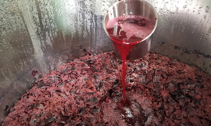 10.6树葡萄酿酒技术-发酵中2