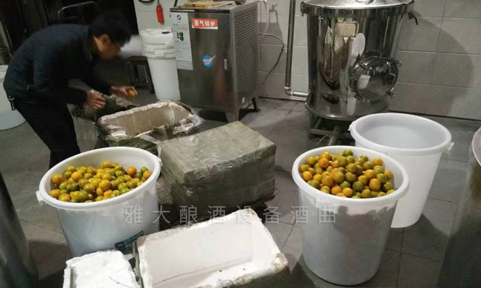 韶关谢总给雅大寄来的黄帝柑酿酒