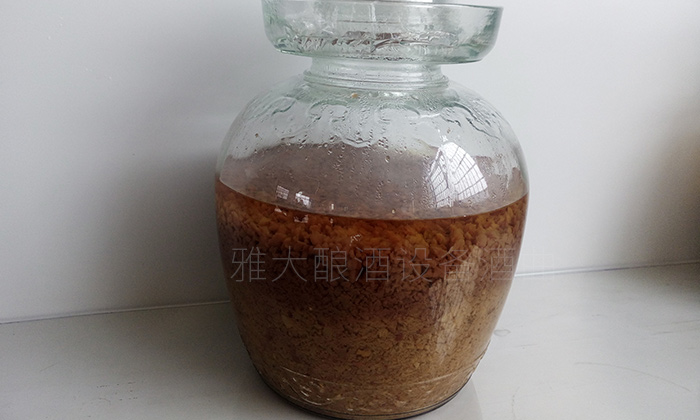 10.10红枣酿酒技术-红枣酒发酵完成