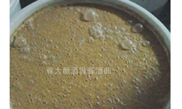 3-玉米生料发酵