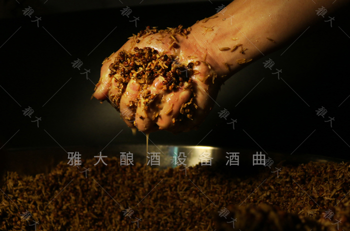 6.13发酵时将每一粒粮食都吃干榨尽