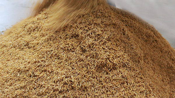 固态酿酒加辅料，这2点没做好，酒里全是异杂味！