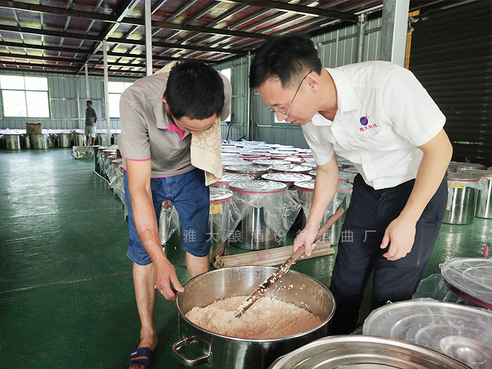 蒋建明老师指导学员大米发酵情况